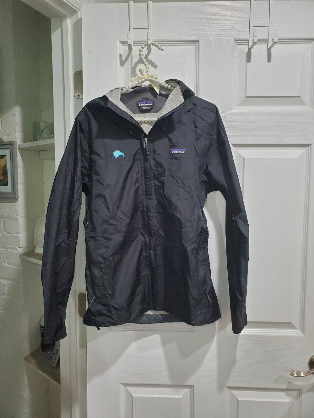 Patagonia Black Hooded Shell Jacket with Light Gray Lining